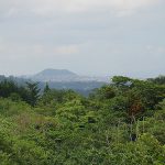 El Cerro de las Culebras: Misterio y Naturaleza en Coatepec, Veracruz