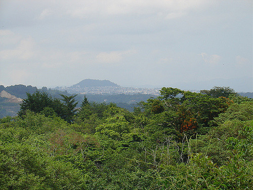 El Cerro de las Culebras: Misterio y Naturaleza en Coatepec, Veracruz